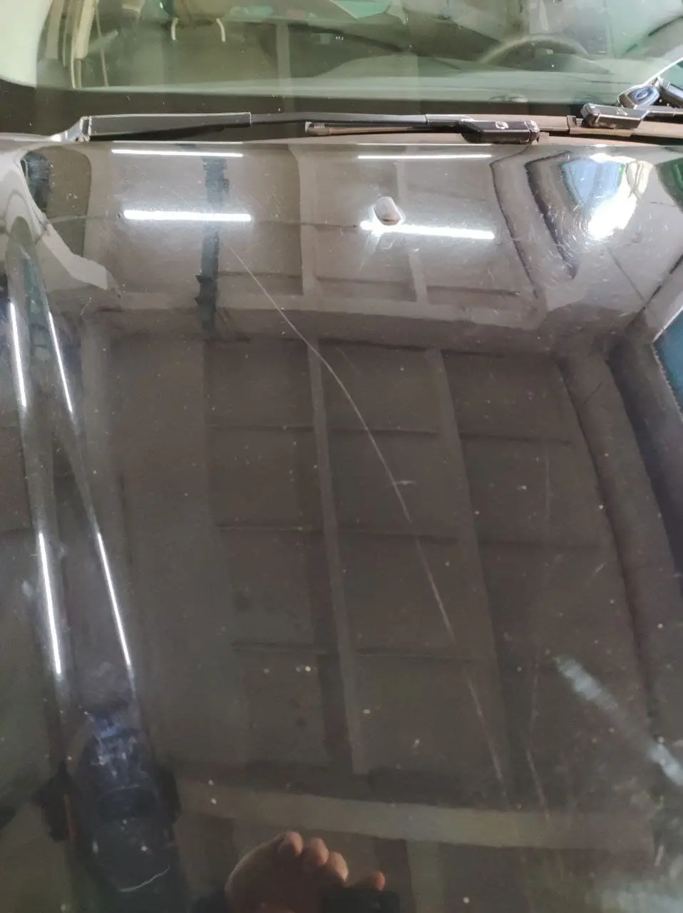 Полировка кузова Ford Focus