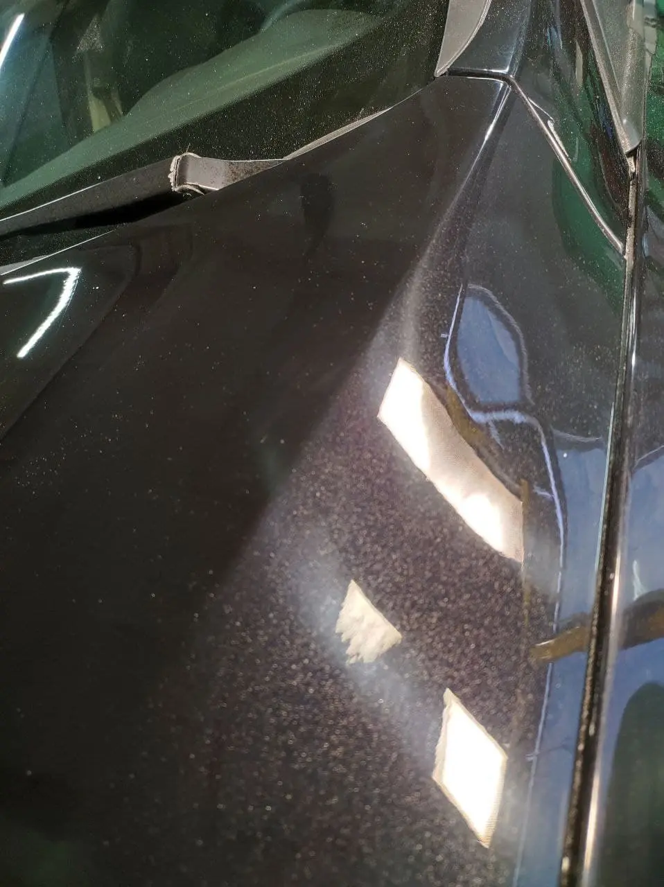 Полировка кузова Ford Focus